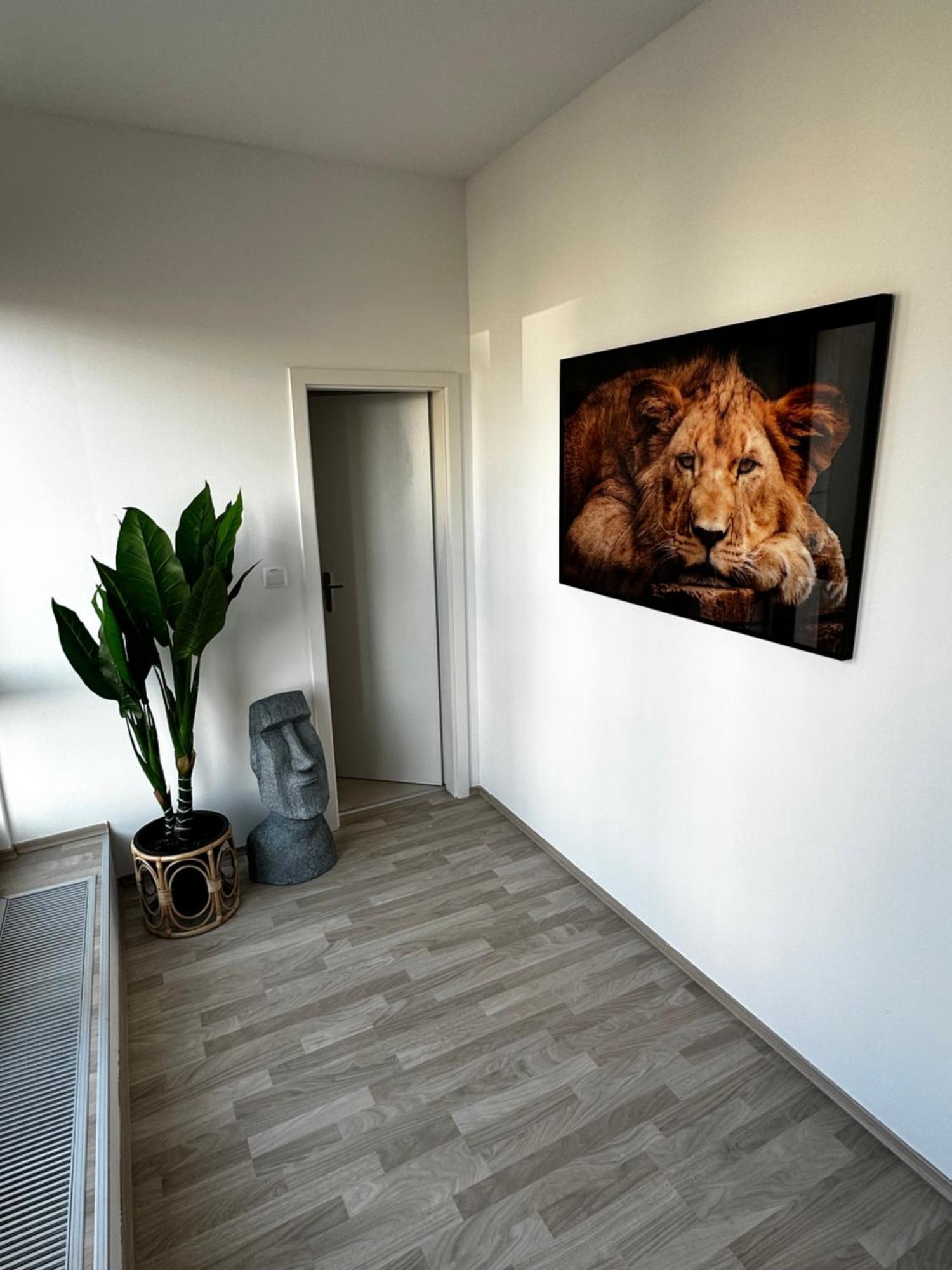 Luxury Penthouse At The Historical Centre With Free Parking Apartment Братислава Екстериор снимка